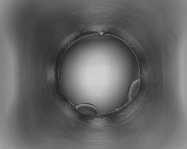 X0000111170256200907011355