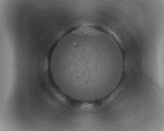 X0000111170257200907011355