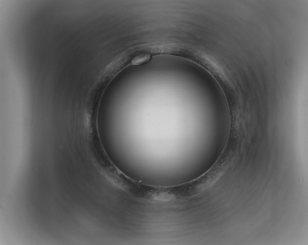 X0000111170258200907011355