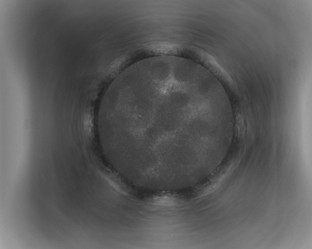 X0000111170259200907011355