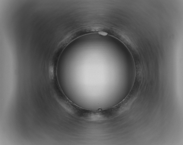 X0000111170262200907011355