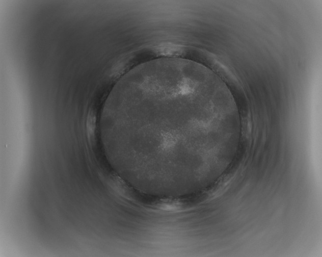 X0000111170263200907011355