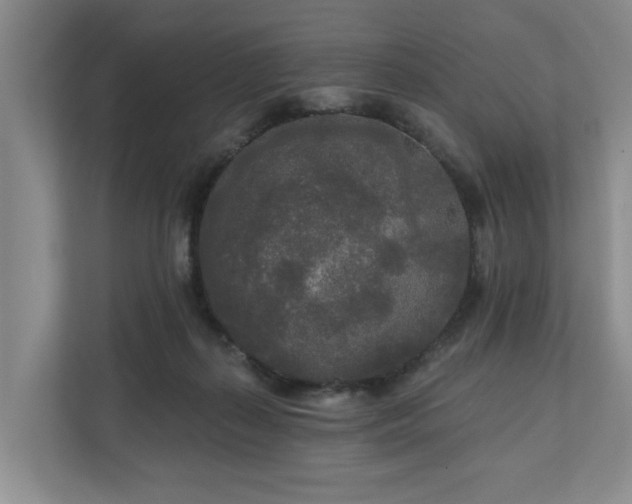 X0000111170267200907011355