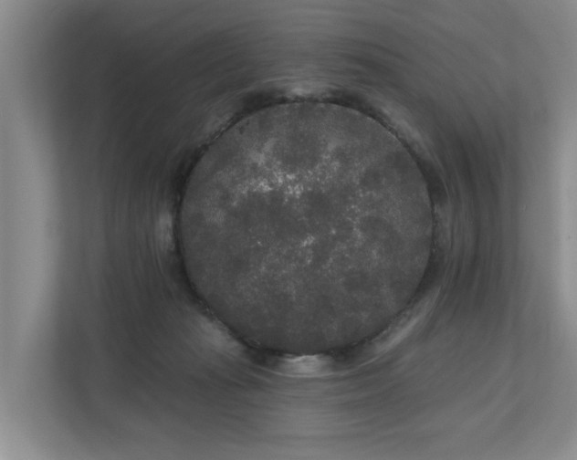 X0000111170269200907011355