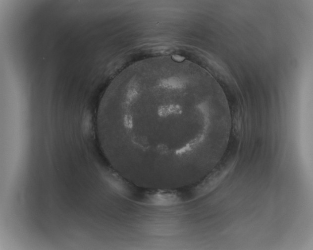 X0000111170270200907011355