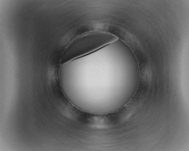 X0000111170272200907011355