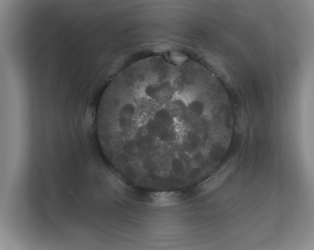 X0000111170273200907011355