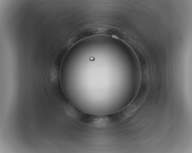 X0000111170274200907011355