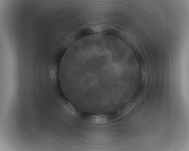 X0000111170275200907011355