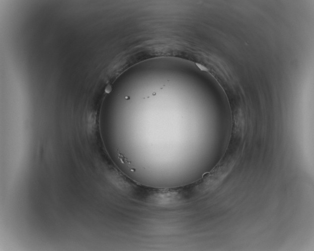 X0000111170278200907011355