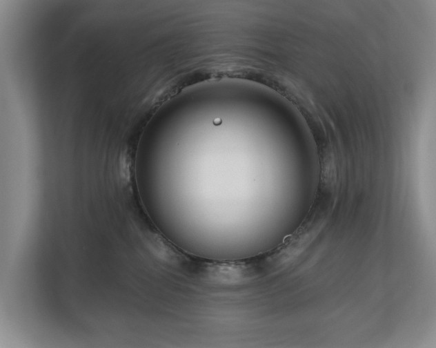 X0000111170282200907011355