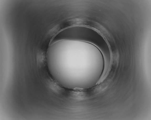 X0000111170284200907011355