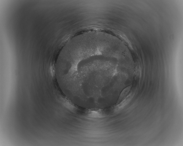 X0000111170285200907011355