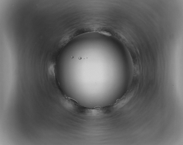 X0000111170286200907011355