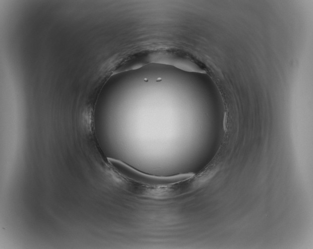 X0000111170288200907011355