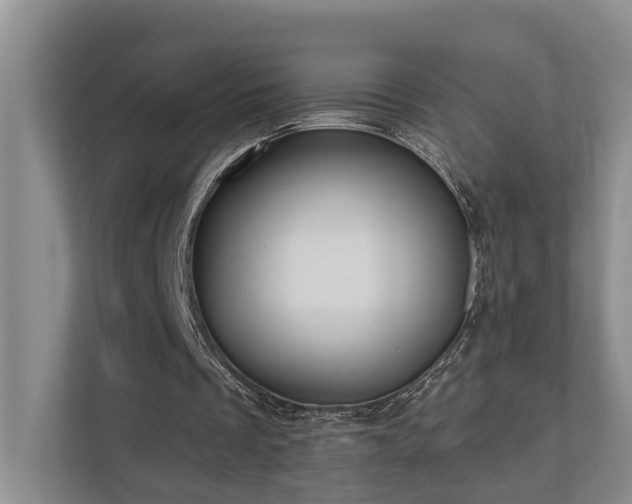 X0000111170289200907011355