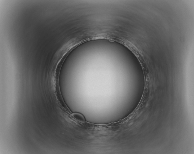 X0000111170290200907011355