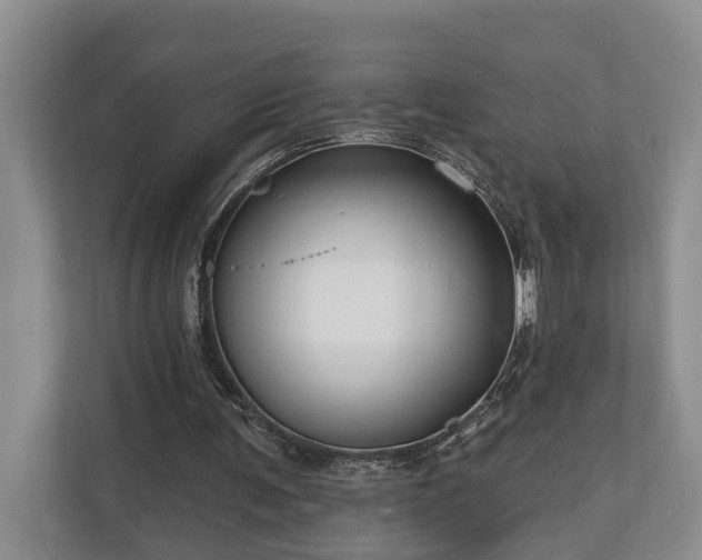 X0000111170291200907011355