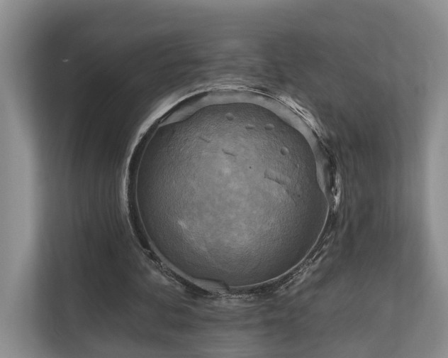 X0000111170292200907011355