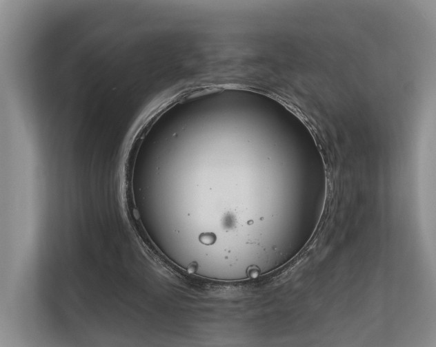 X0000111170293200907011355