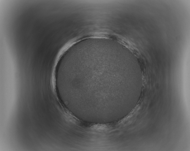 X0000111170294200907011355