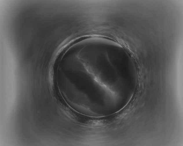 X0000111170295200907011355