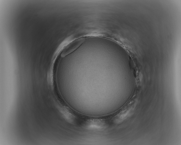 X0000111170296200907011355