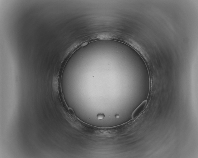 X0000111170297200907011355