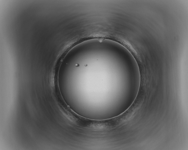 X0000111170299200907011355