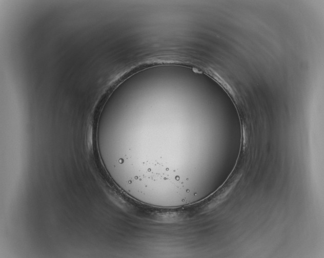 X0000111170301200907011355