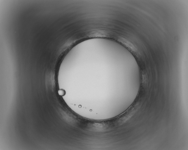 X0000111170302200907011355