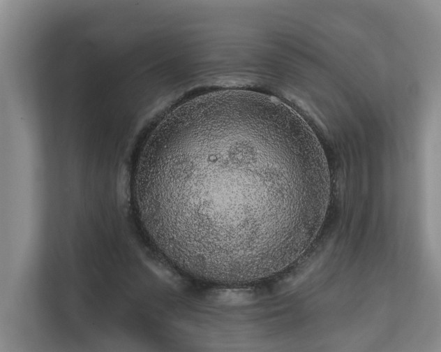 X0000111170303200907011355