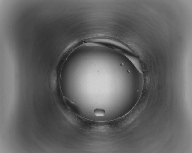 X0000111170304200907011355