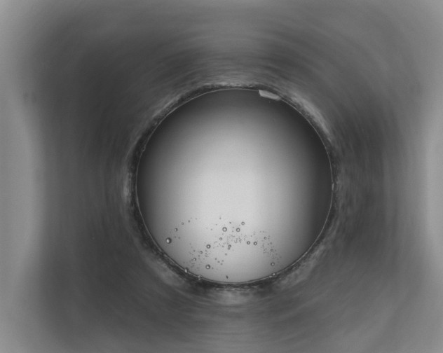 X0000111170305200907011355