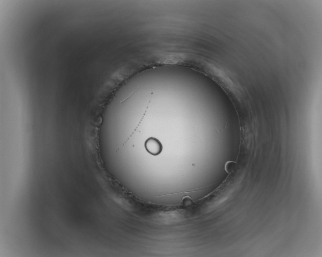 X0000111170307200907011355