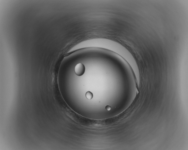 X0000111170308200907011355