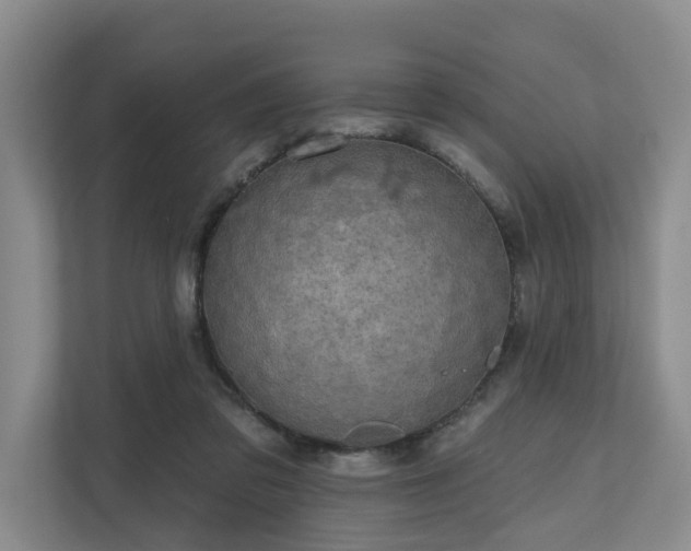 X0000111170309200907011355