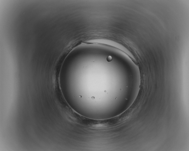 X0000111170312200907011355