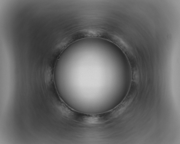 X0000111170318200907011354