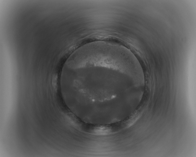 X0000111170319200907011354