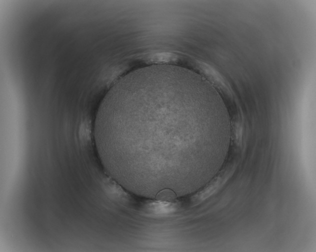 X0000111170326200907011354