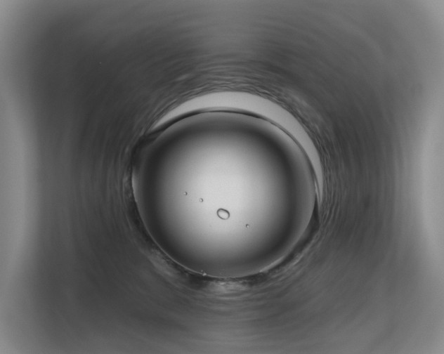 X0000111170327200907011354