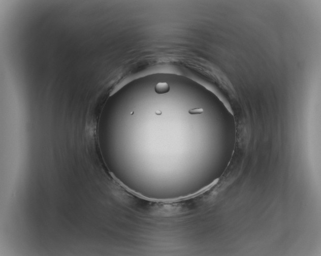 X0000111170329200907011354