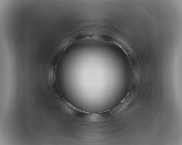 X0000111170333200907011354