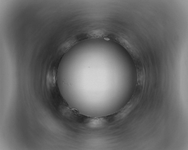 X0000111170334200907011354