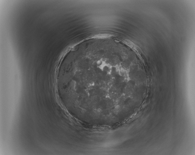 X0000111170337200907011354