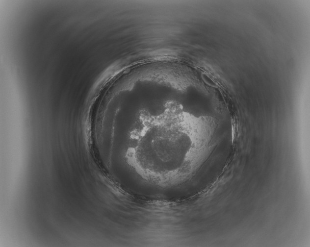 X0000111170339200907011354