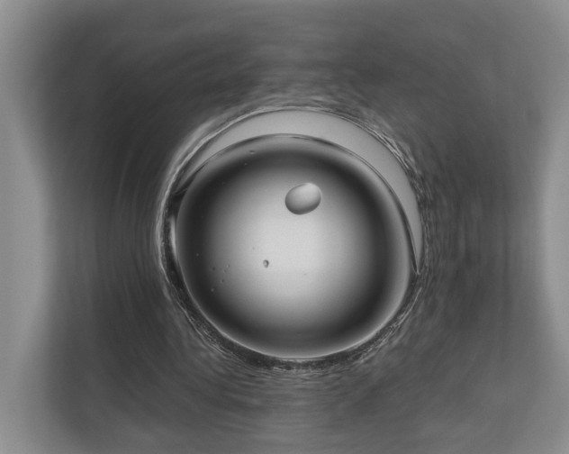 X0000111170340200907011354