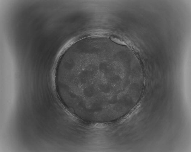 X0000111170341200907011354