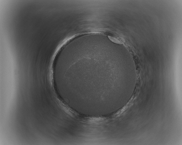 X0000111170342200907011354